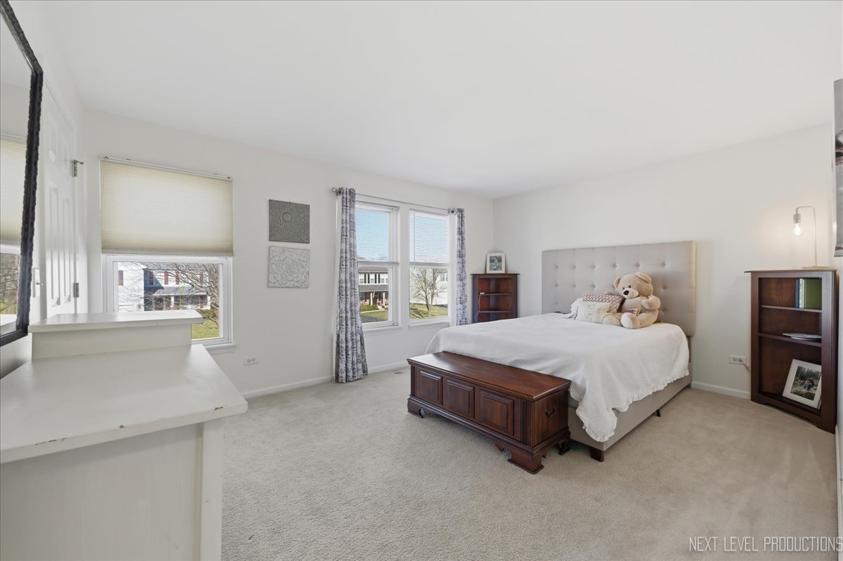 1155 Corrigan Street, Elburn, IL 60119