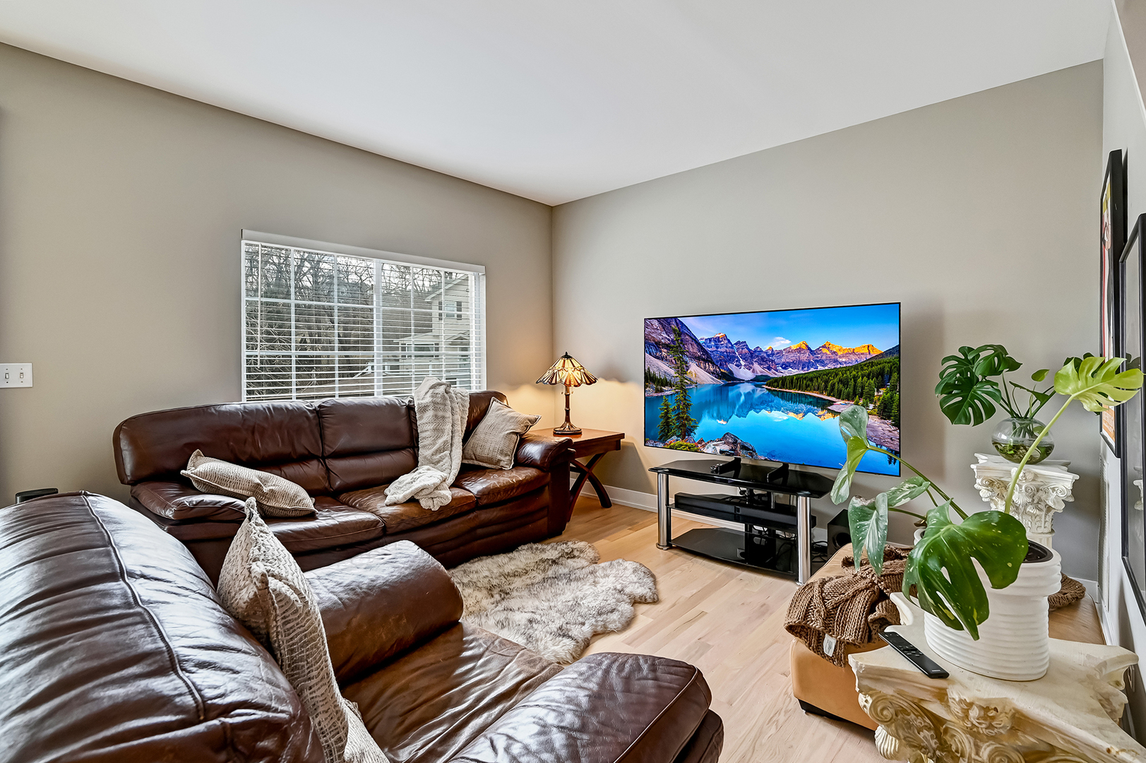 123 Willow Boulevard, Willow Springs, IL 60480