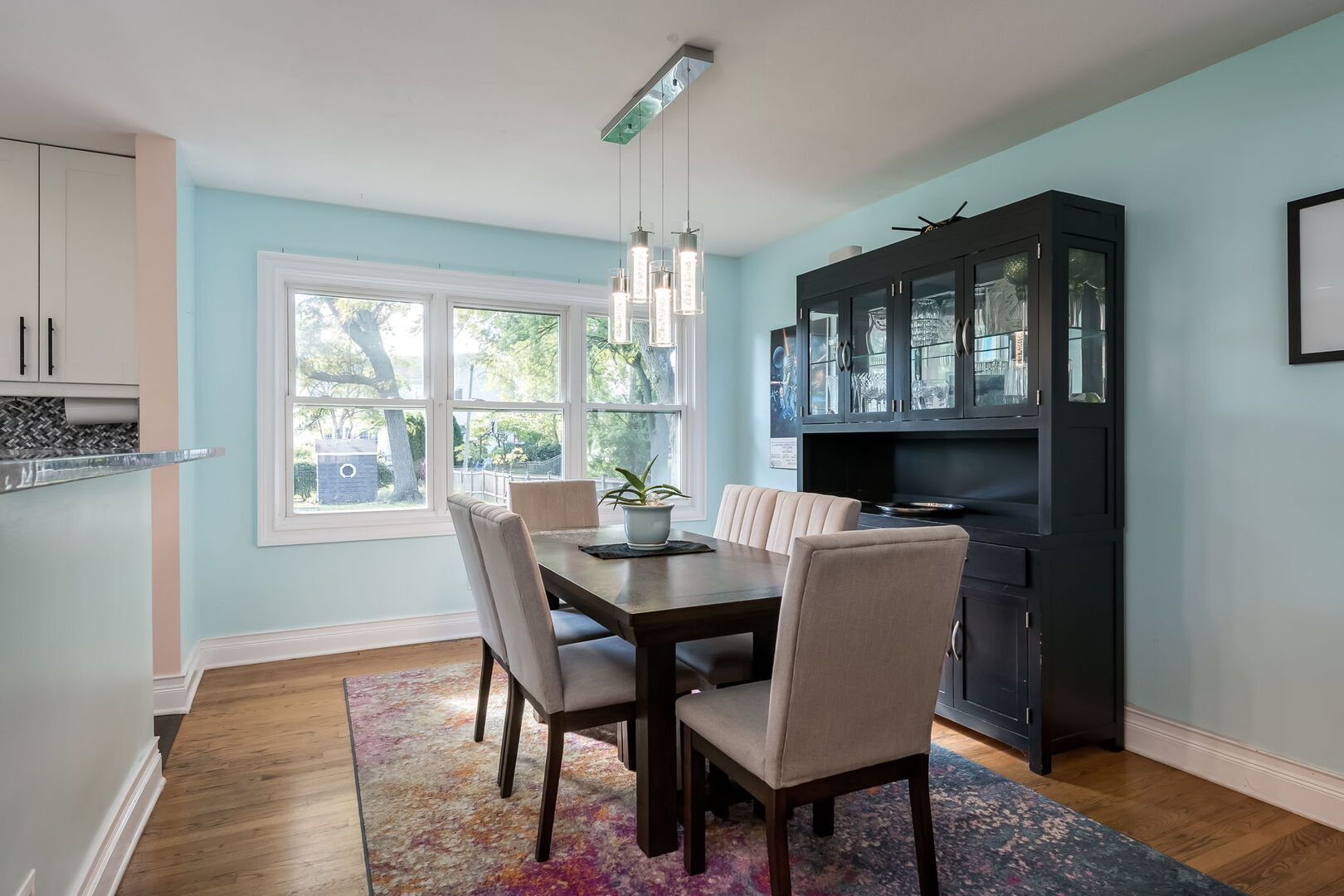 522 E Park Manor Court, Elmhurst, IL 60126