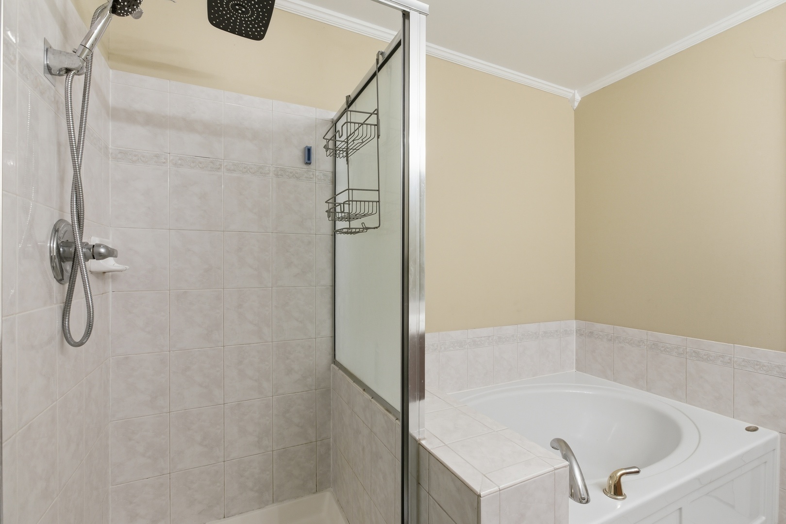 3031 SAGANASHKEE Lane, Naperville, IL 60564