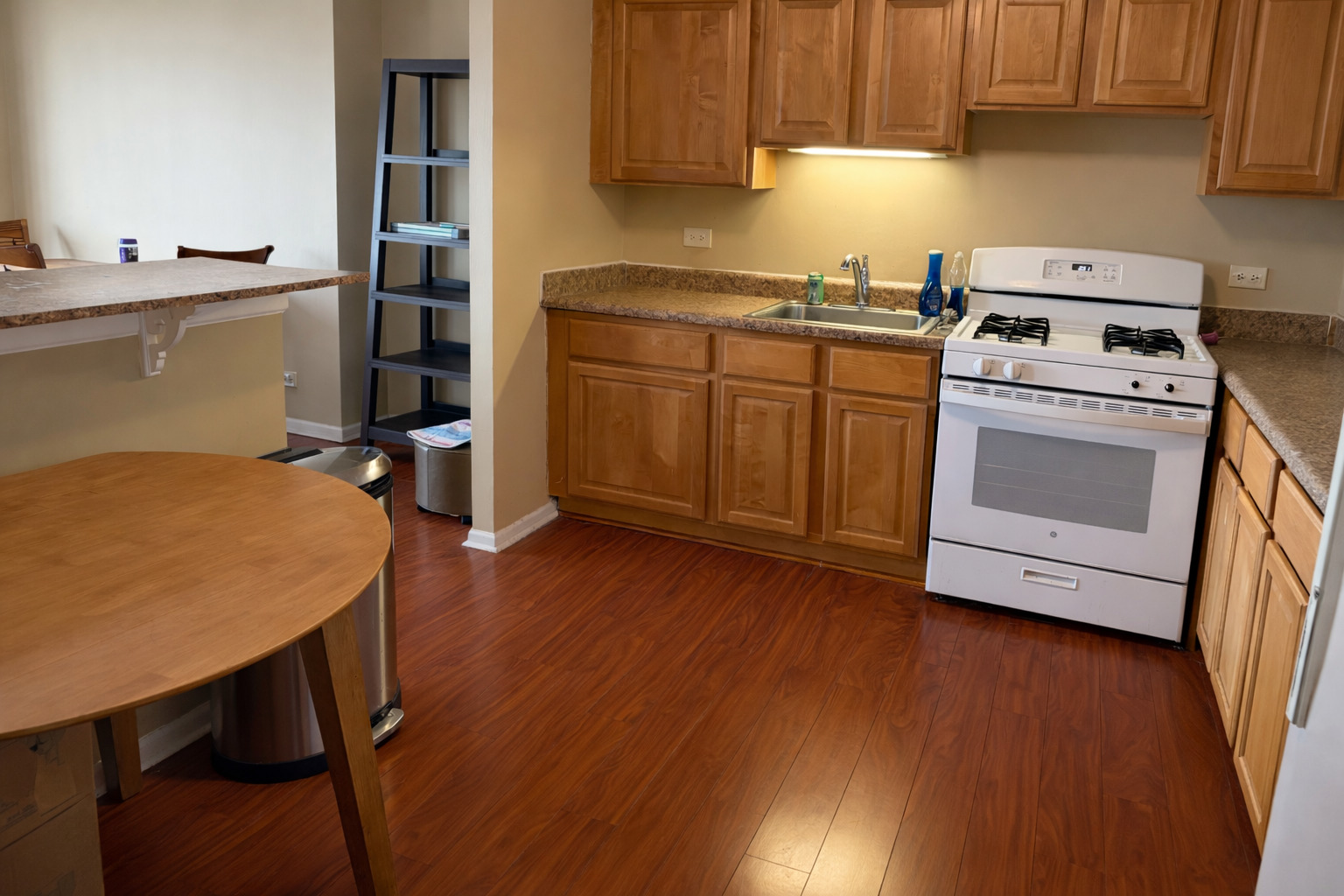 4800 S Lake Park Avenue #1009A, Chicago, IL 60615