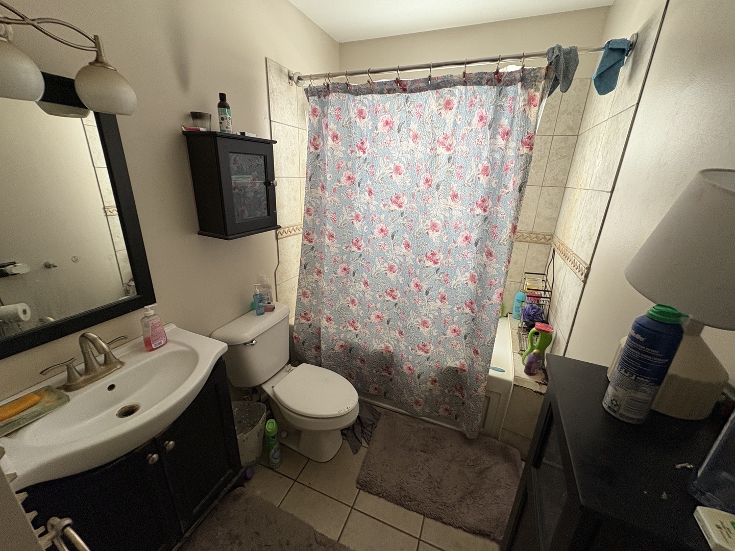 1827 218th Place, Sauk Village, IL 60411