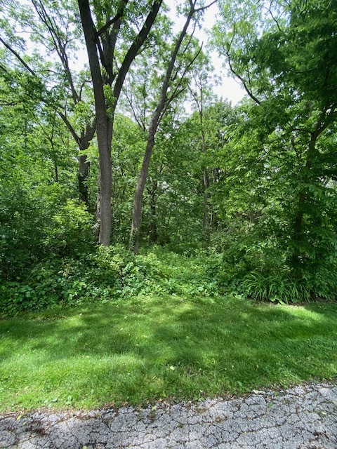 Lot 65,66,&64 Main Street, Spring Grove, IL 60081