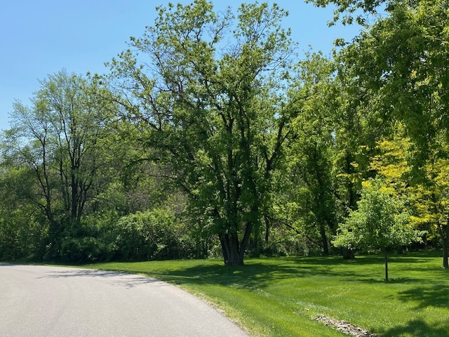 3.8 Ac Johnsburg Road, Johnsburg, IL 60051