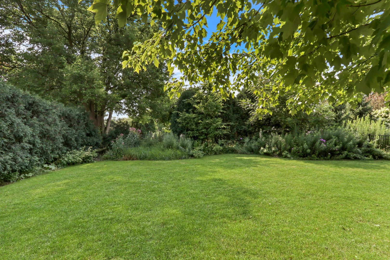 5684 Wolf Road, Western Springs, IL 60558