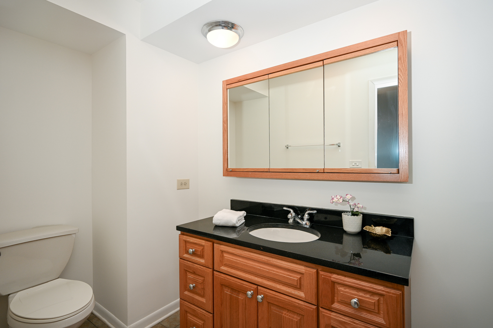 441 N Park Boulevard #5K, Glen Ellyn, IL 60137