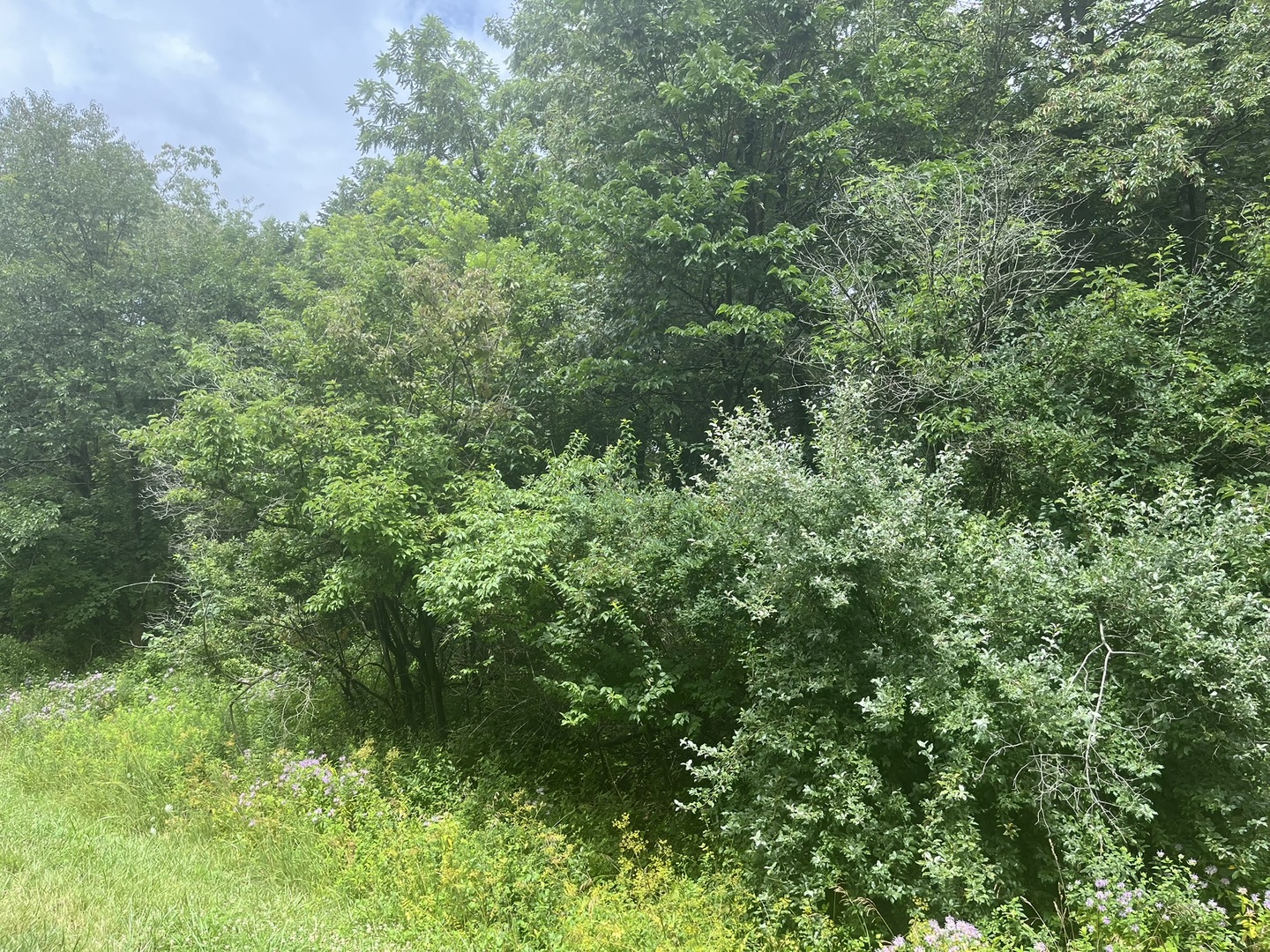 28 Cedar Lane, Putnam, IL 61560