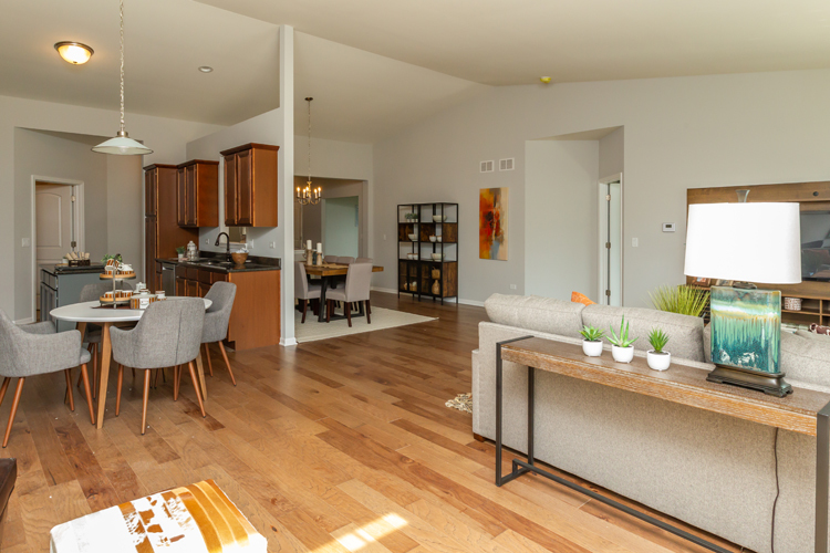 456 RIDGE Lane, Bolingbrook, IL 60440