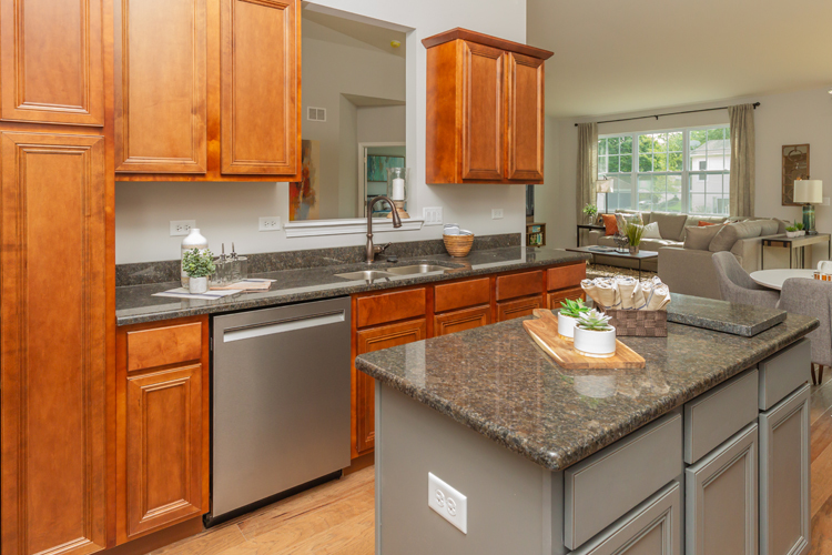 456 RIDGE Lane, Bolingbrook, IL 60440