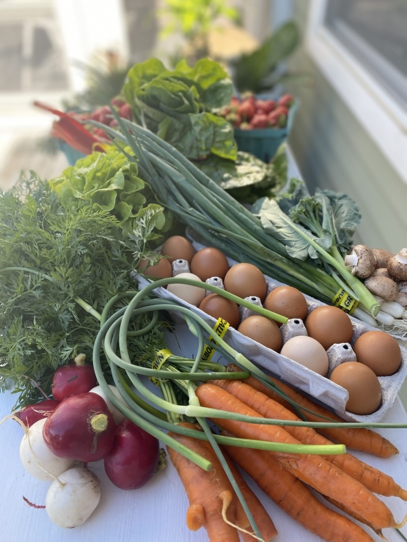 1347 Wild Indigo Road, Grayslake, IL 60030