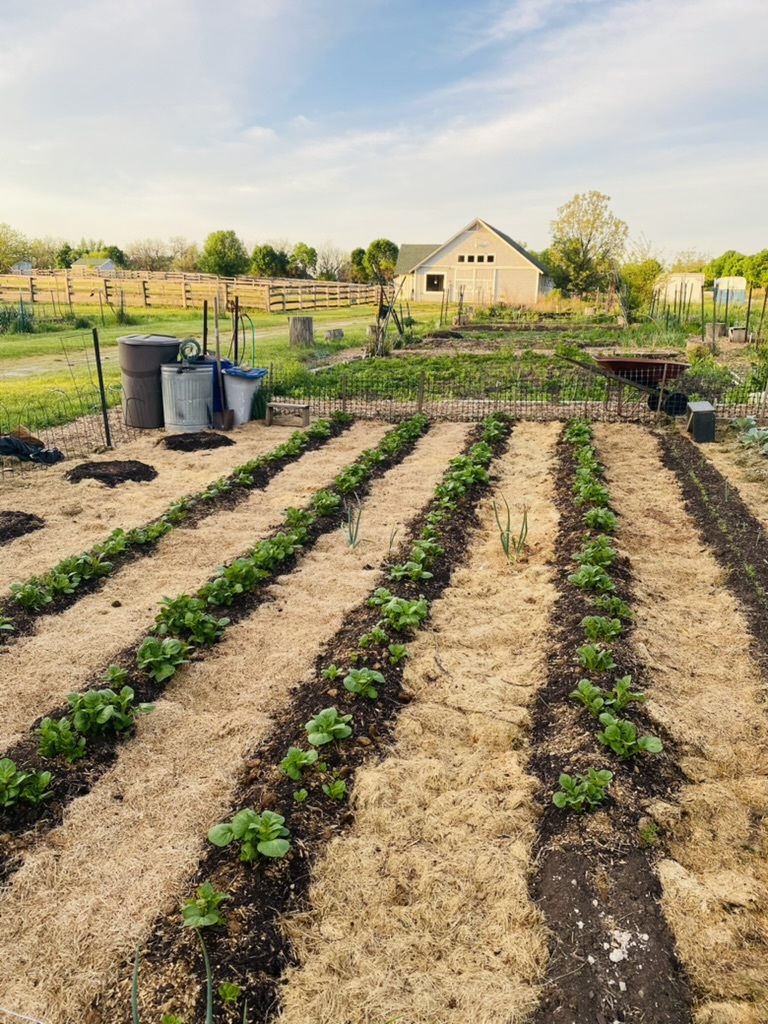 1347 Wild Indigo Road, Grayslake, IL 60030