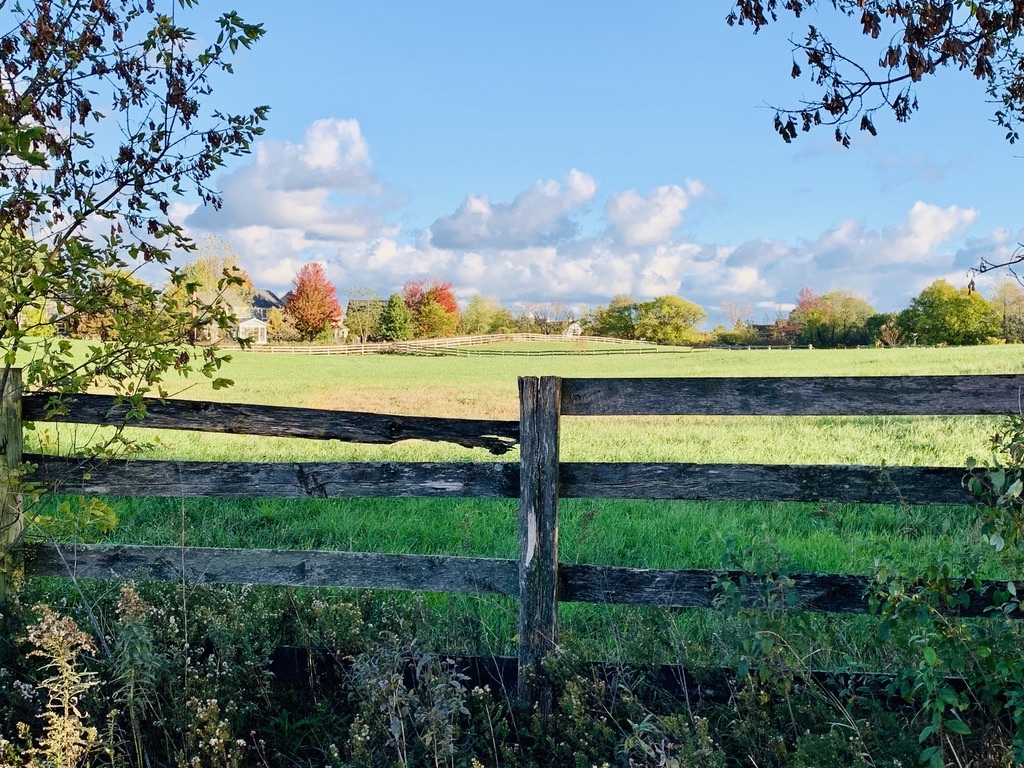 1347 Wild Indigo Road, Grayslake, IL 60030