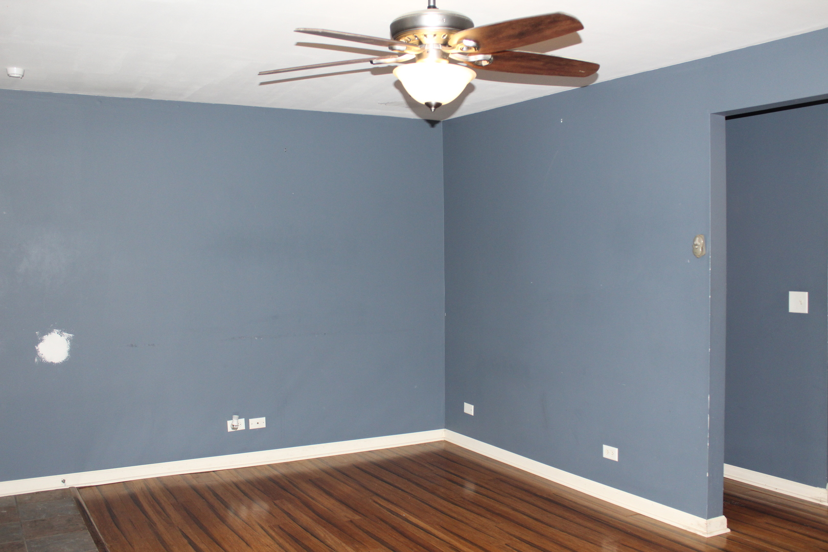 1396 Carriage Way, Roselle, IL 60172