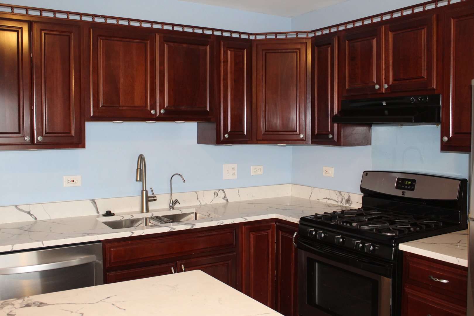 1396 Carriage Way, Roselle, IL 60172