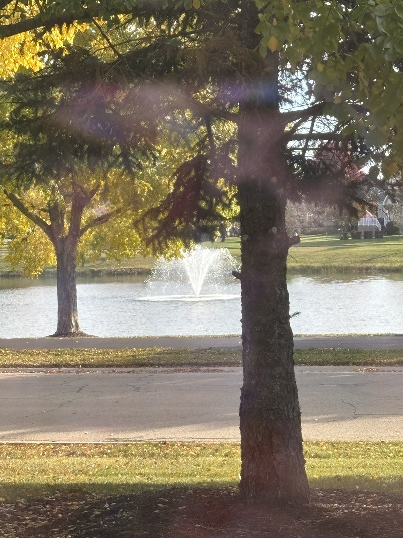 16300 Crescent Lake Drive, Crest Hill, IL 60403