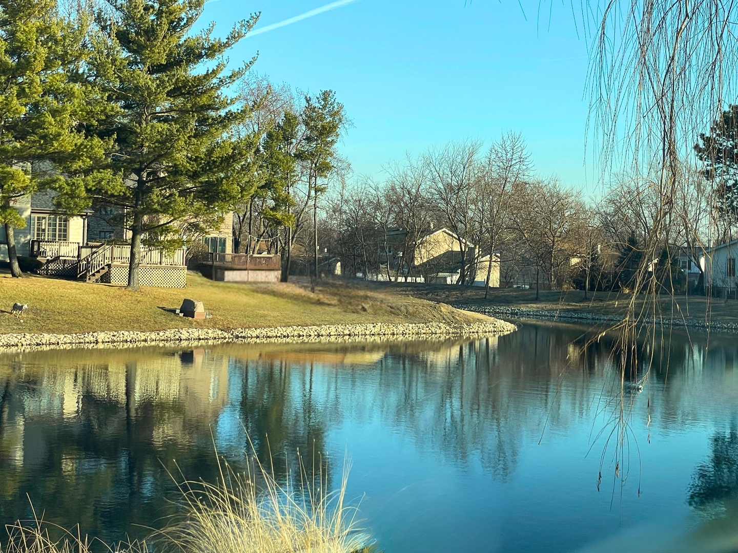 1117 Bristlecone Court, Darien, IL 60561