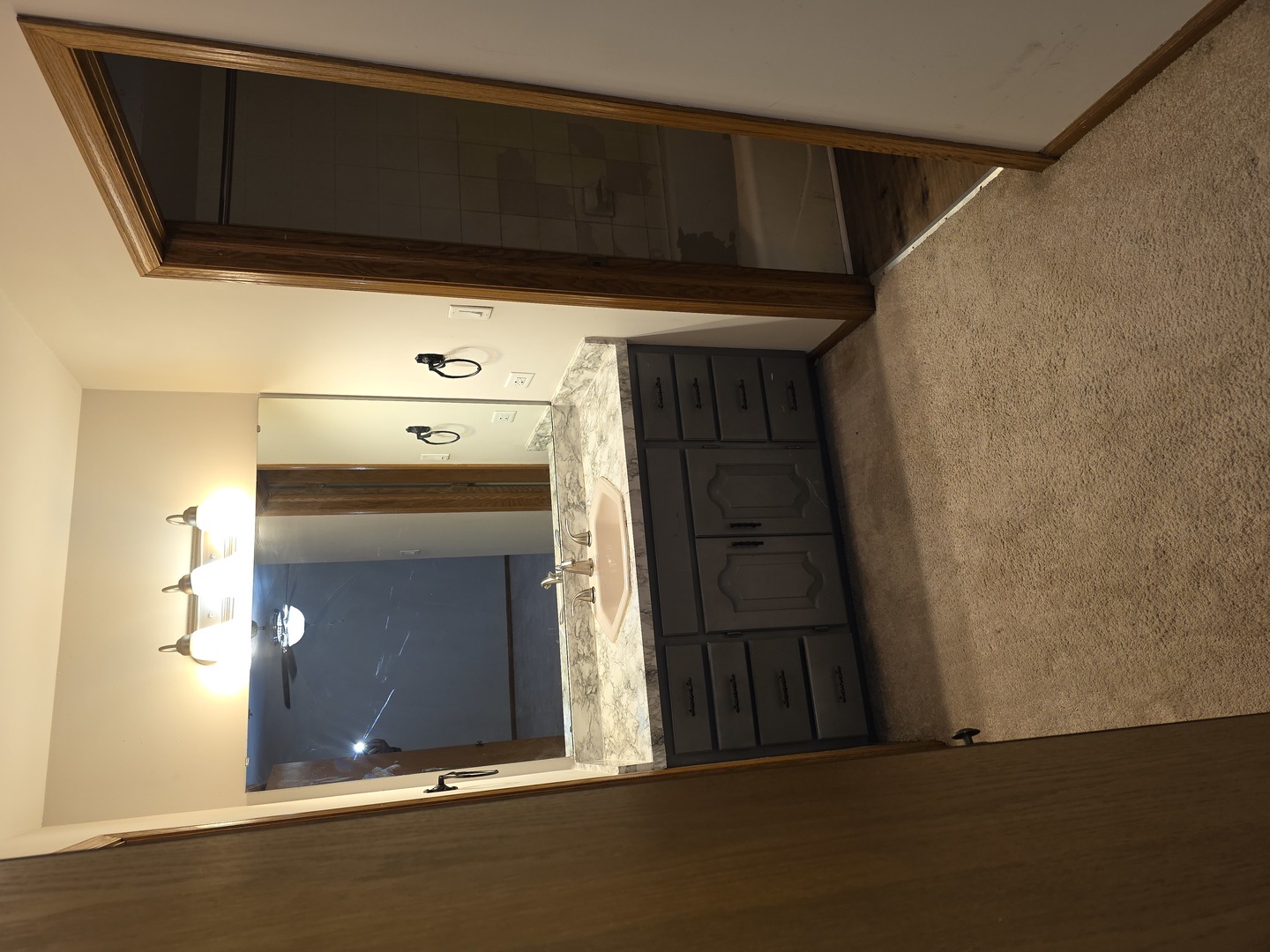 18354 De Jong Lane, Lansing, IL 60438