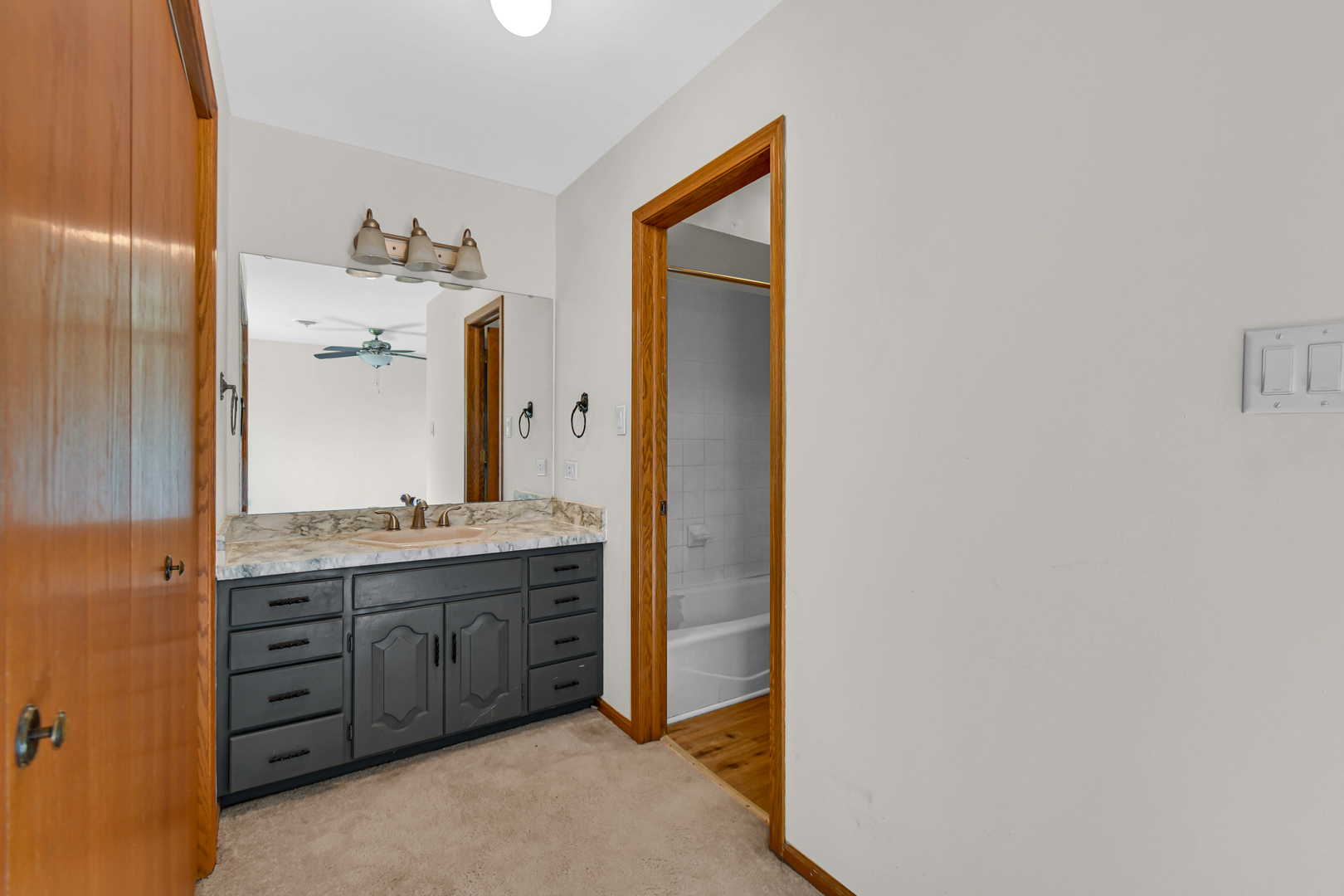 18354 De Jong Lane, Lansing, IL 60438