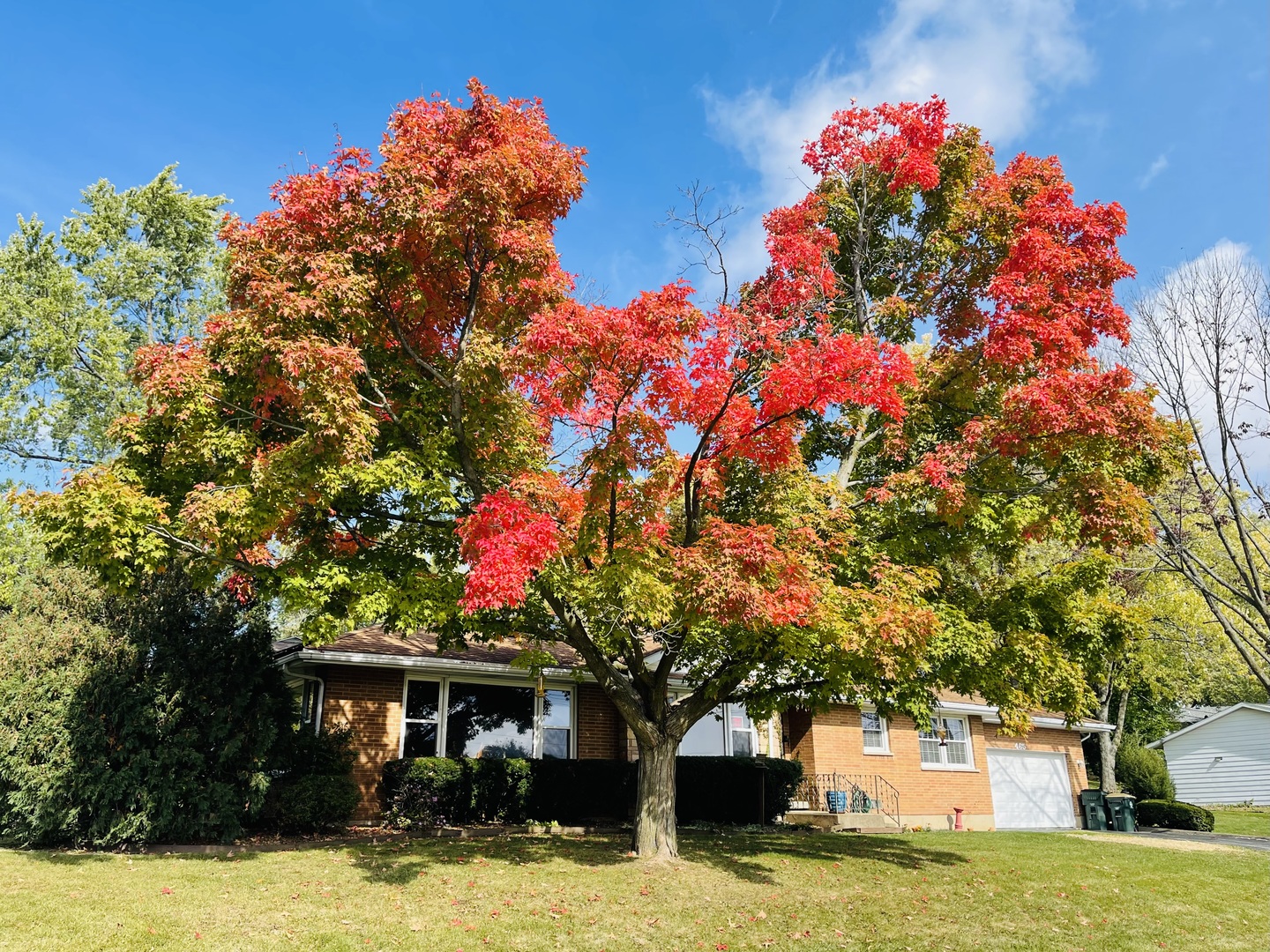 465 Poplar Avenue, Antioch, IL 60002