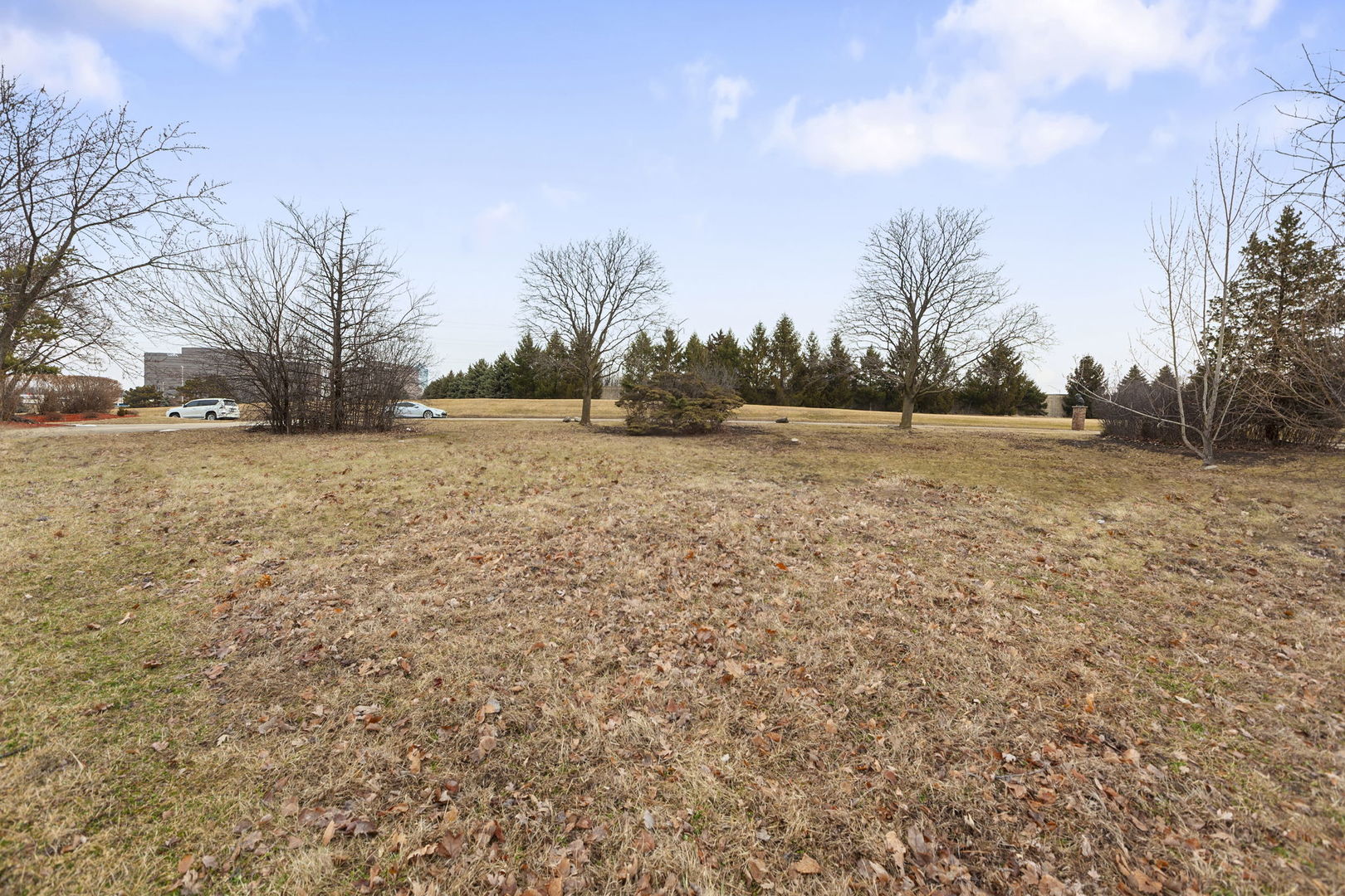 46 Kingston Drive, Oak Brook, IL 60523