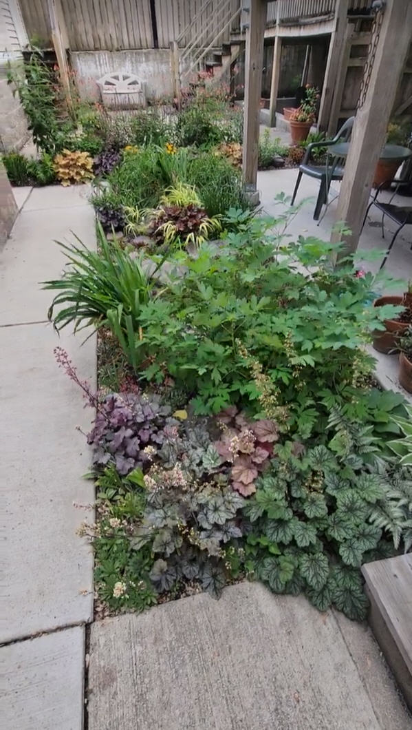 1621 S Ruble Street, Chicago, IL 60616