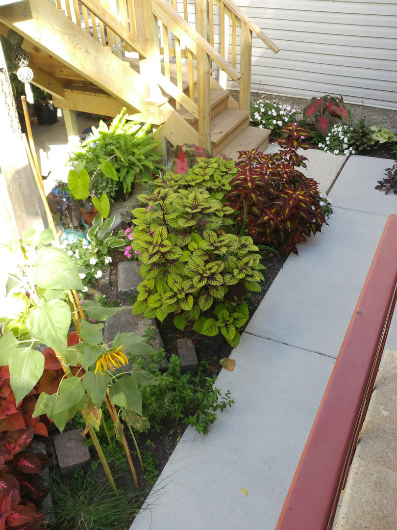 1621 S Ruble Street, Chicago, IL 60616