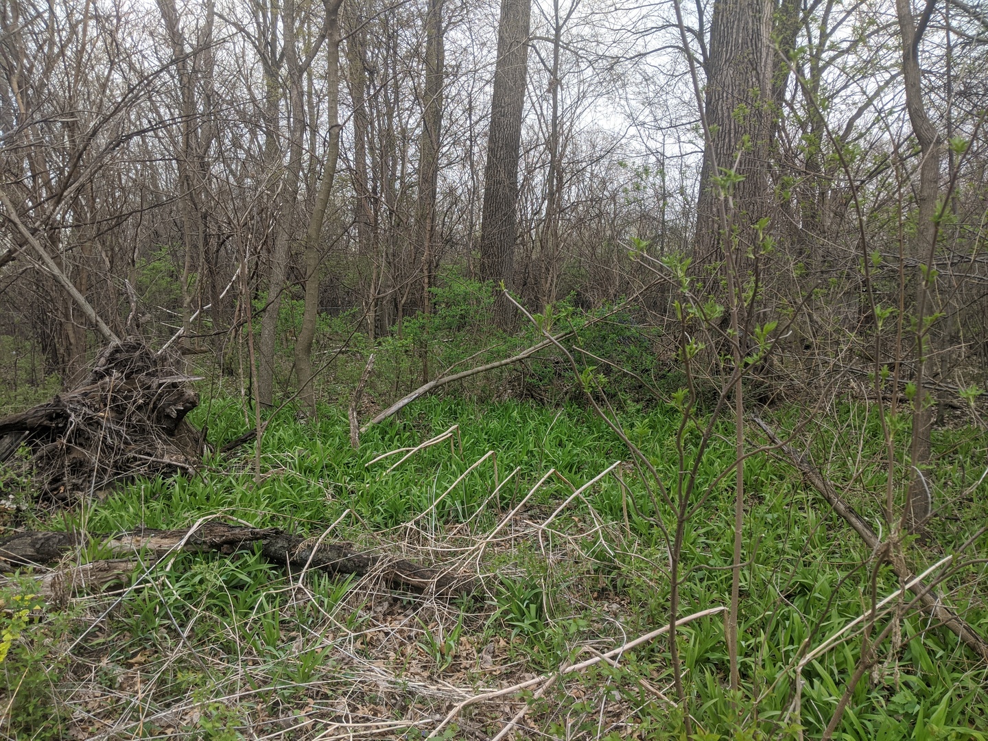 1211 Joliet Street, Dyer, IN 46311