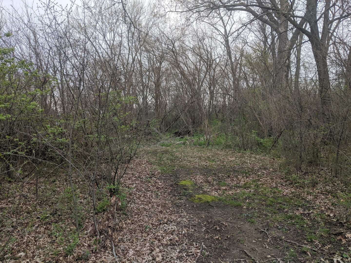 1211 Joliet Street, Dyer, IN 46311