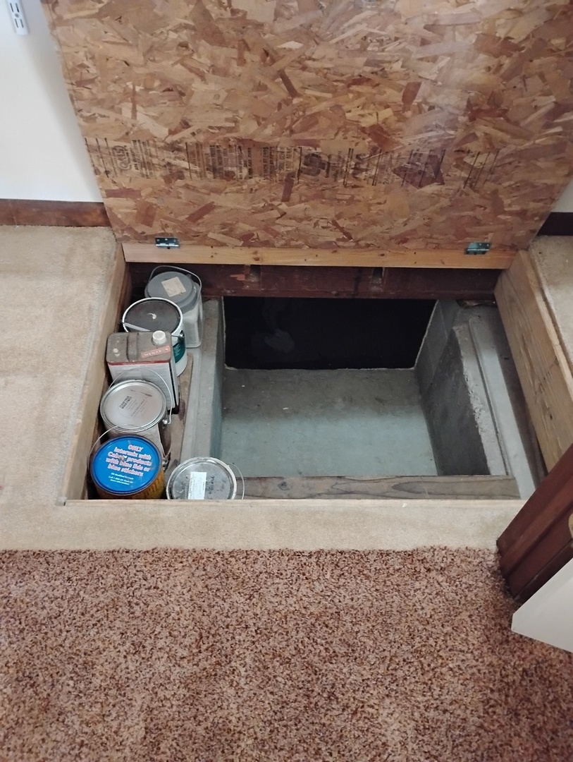 503 Walnut Street, Delavan, IL 61734