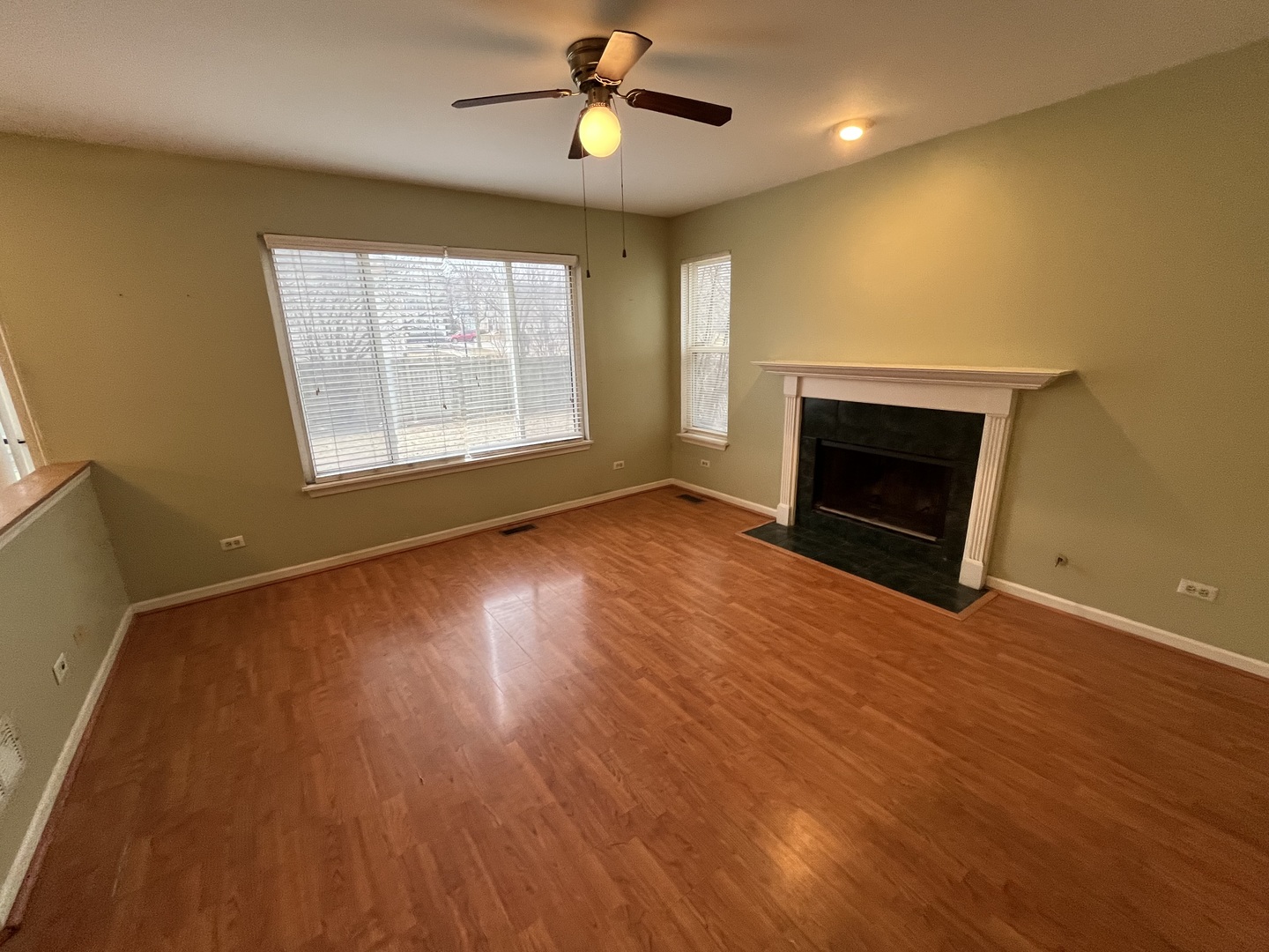 246 Homewood Drive, Bolingbrook, IL 60440