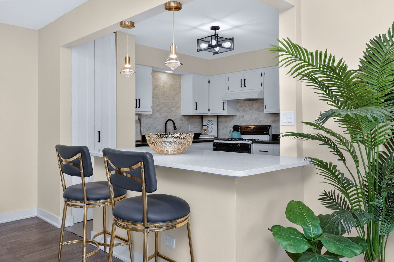 6630 S Brainard Avenue #409, Countryside, IL 60525