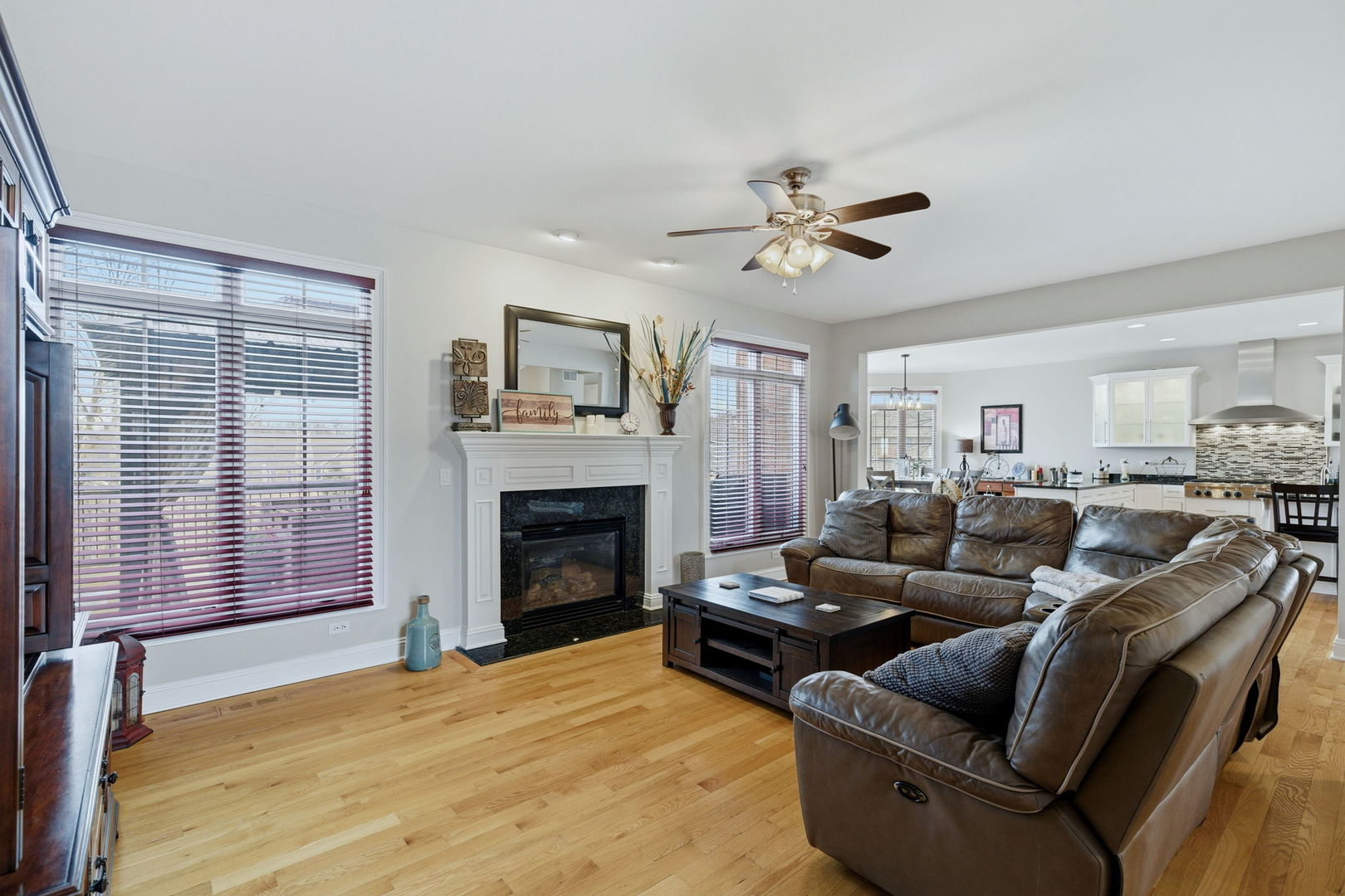 25230 S Tuscany Drive, Monee, IL 60449