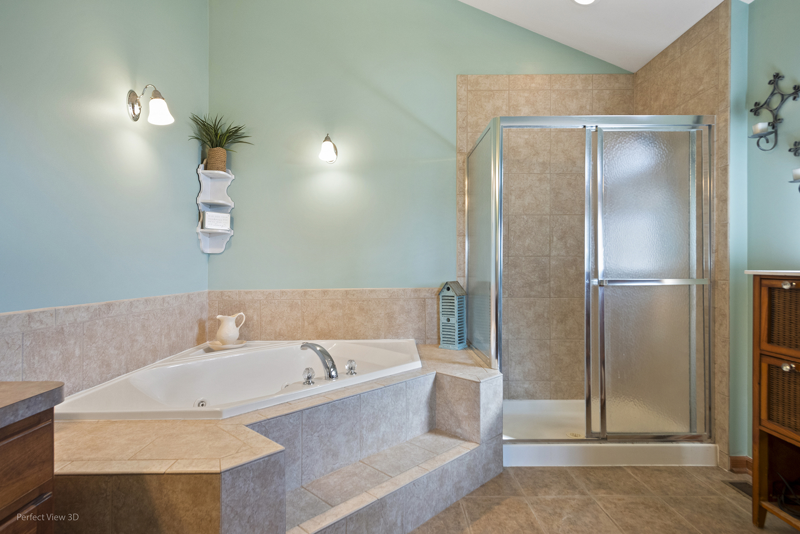 19813 Clare Drive, Tinley Park, IL 60487