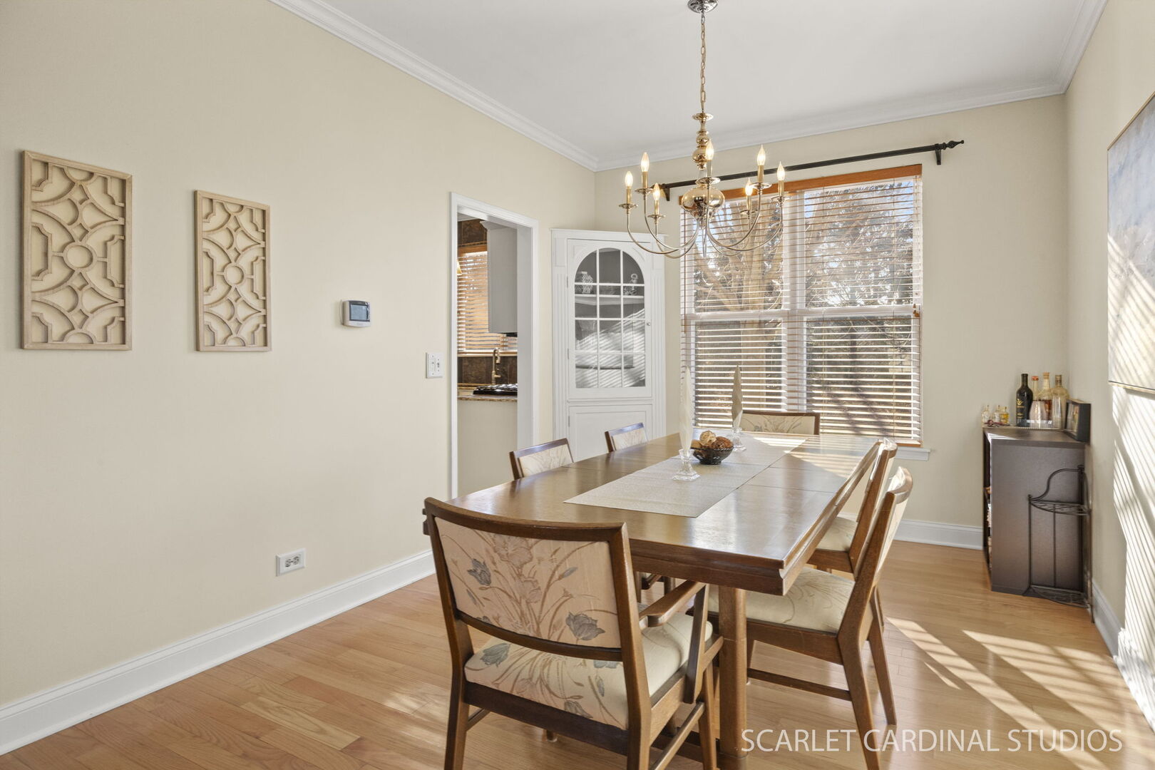 1135 Red Clover Drive, Naperville, IL 60564