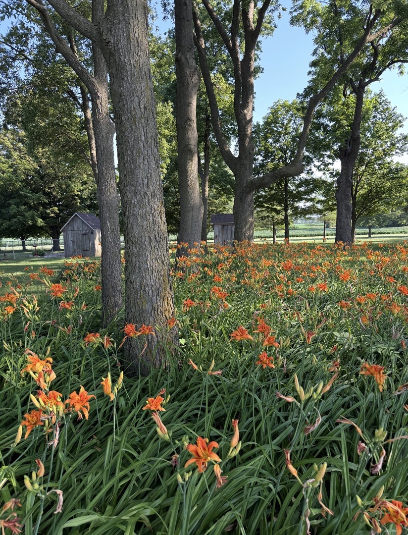 2411 Goldberg Road, Bloomington, IL 61705