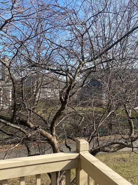 26W011 Klein Creek Drive, Winfield, IL 60190