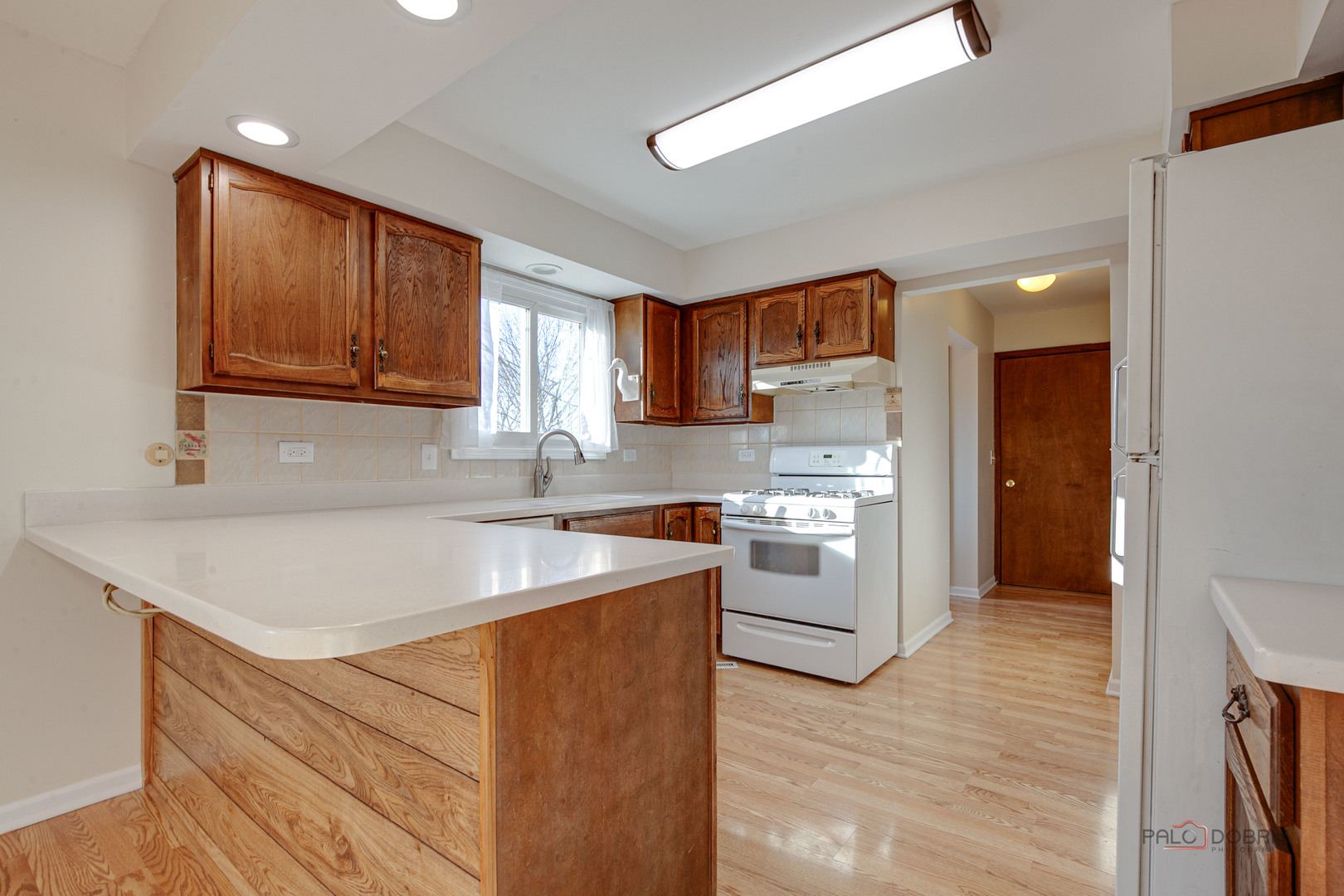 24423 W Tyler Avenue, Round Lake, IL 60073