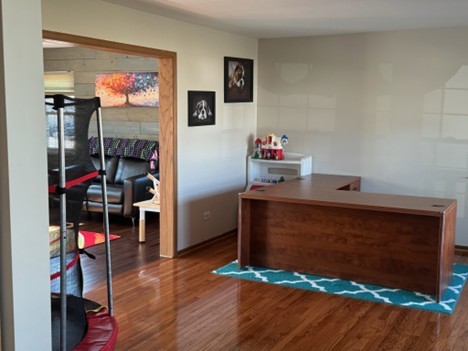 8111 OLD MILL Road, Frankfort, IL 60423