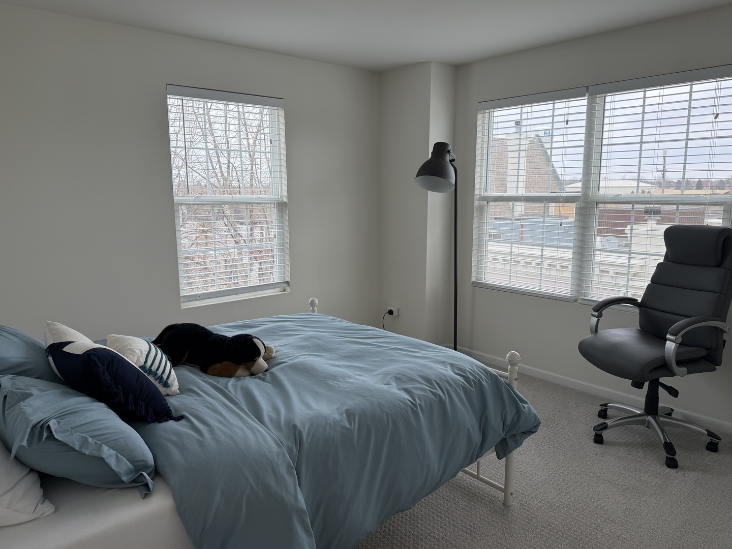 4194 Royal Mews Circle, Naperville, IL 60564