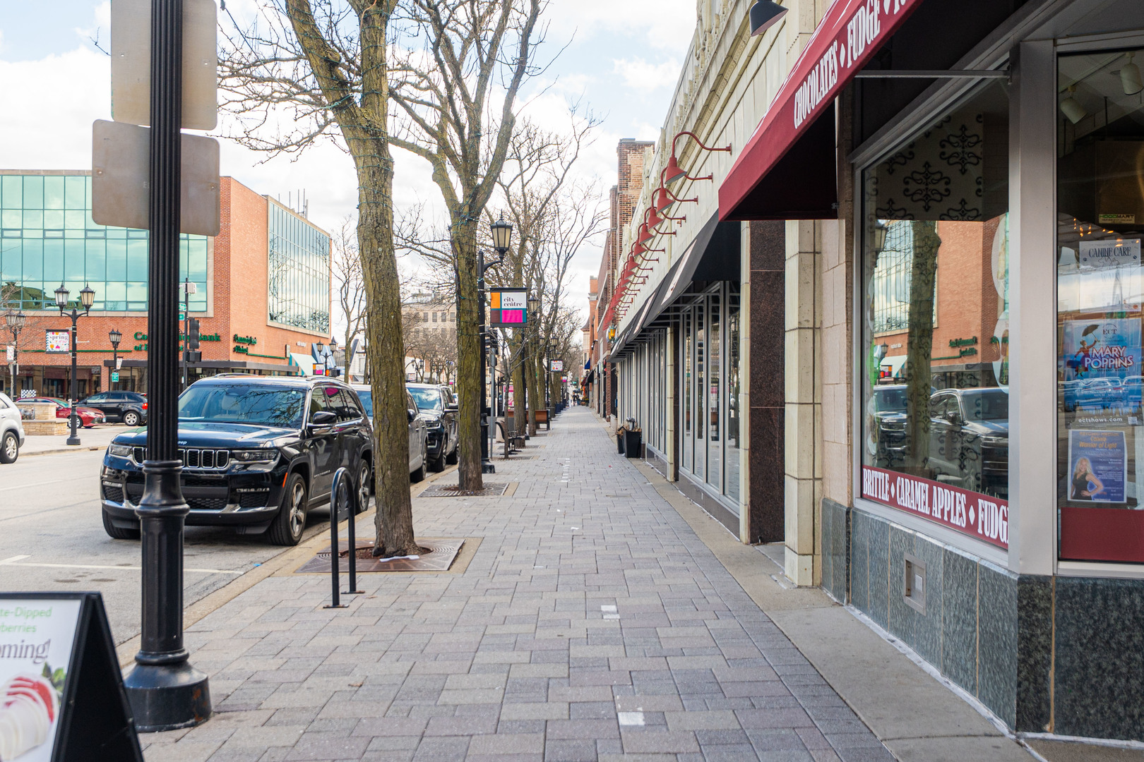 547 S Poplar Avenue, Elmhurst, IL 60126