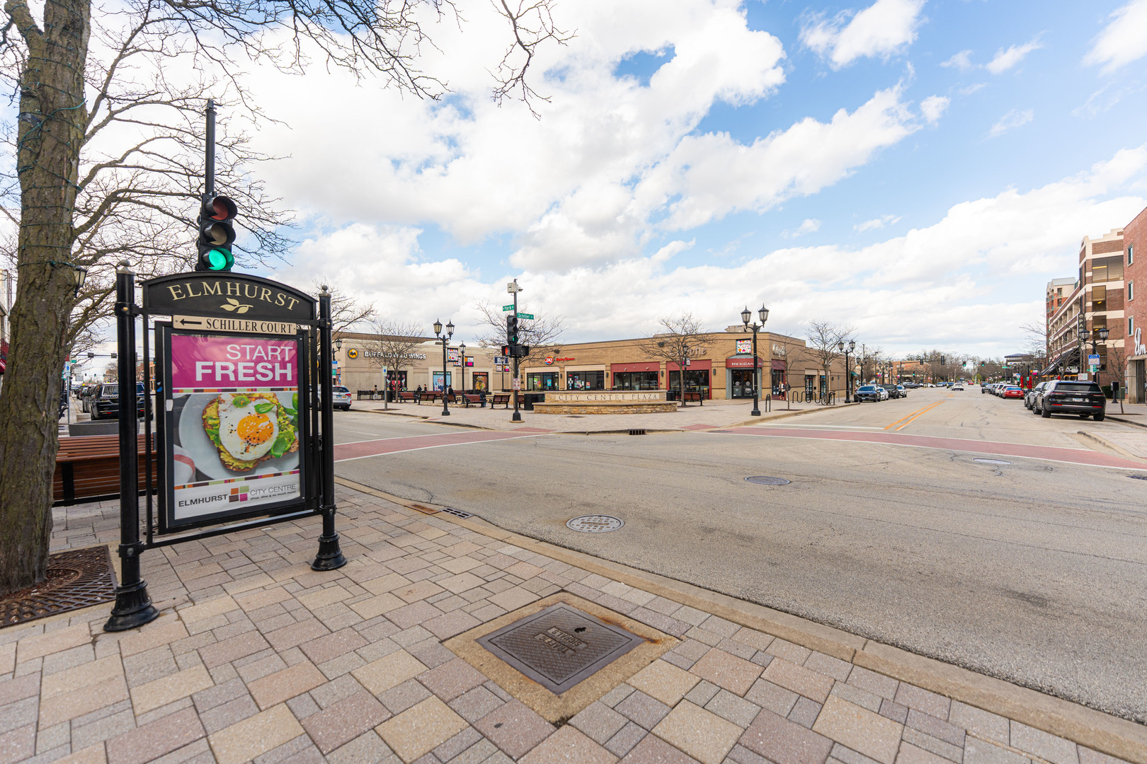 547 S Poplar Avenue, Elmhurst, IL 60126