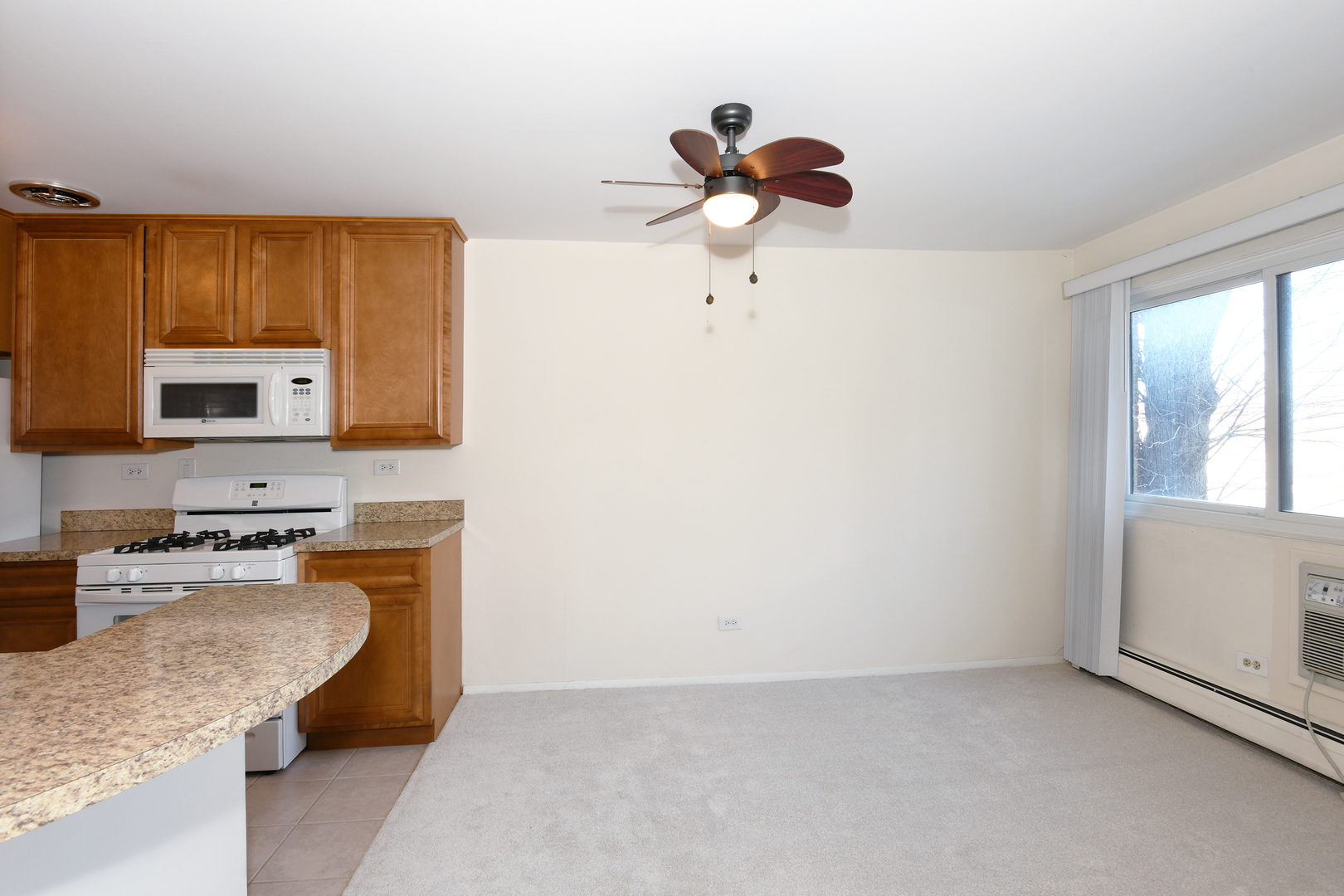 1205 E hintz Road #208, Arlington Heights, IL 60004