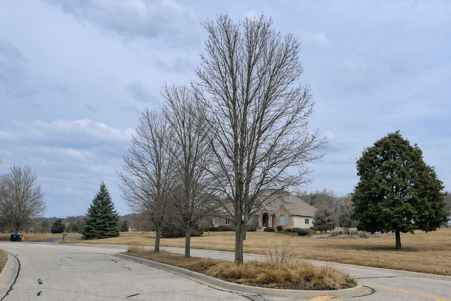 1971 Red Oak Lane, Spring Grove, IL 60081