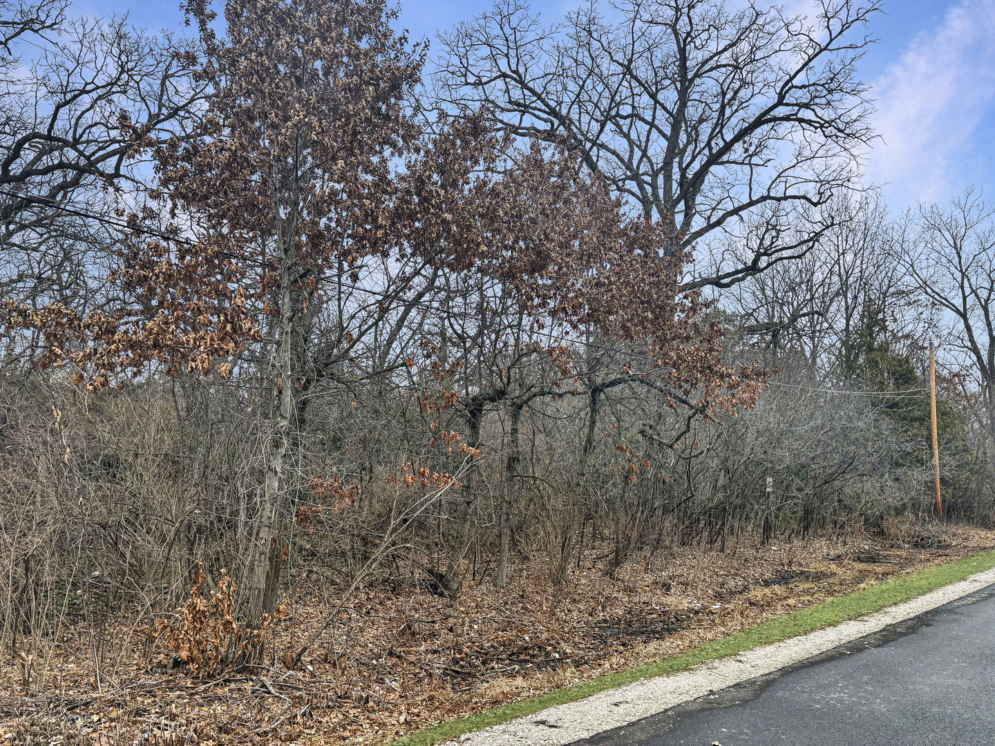 12346 W SALLMON Avenue, Beach Park, IL 60087