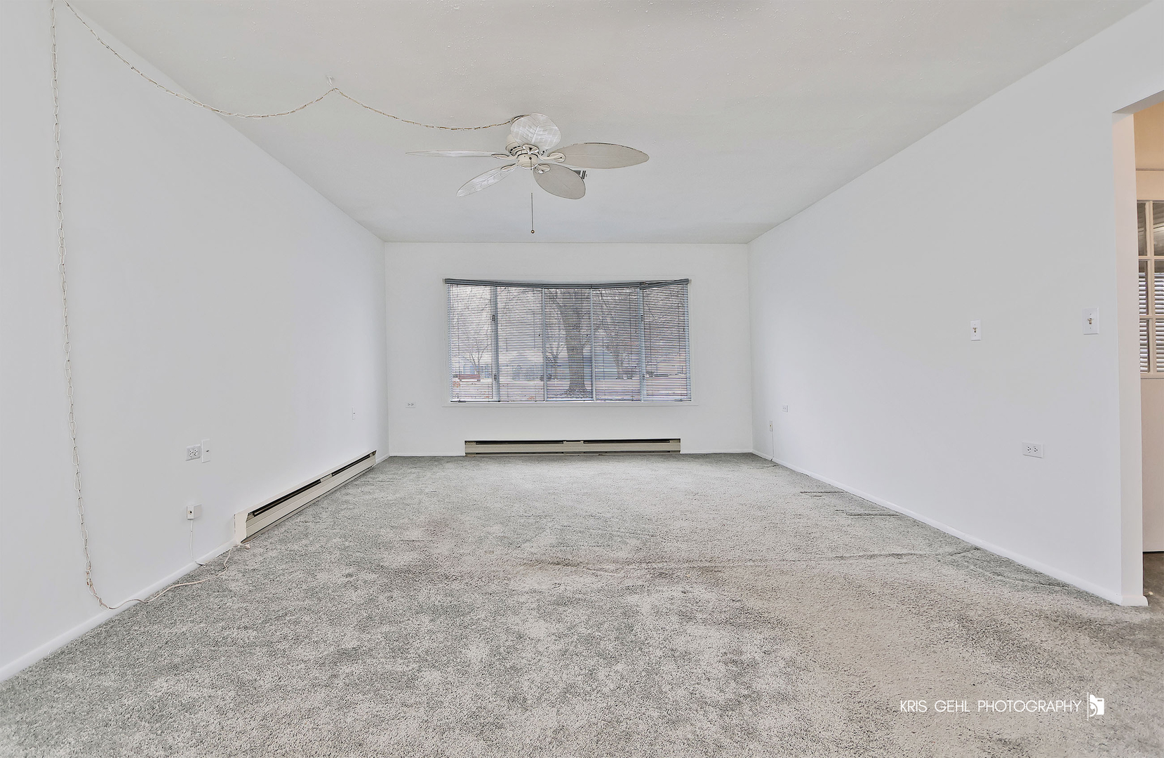 7302 Chevy Chase Court, Fox Lake, IL 60020