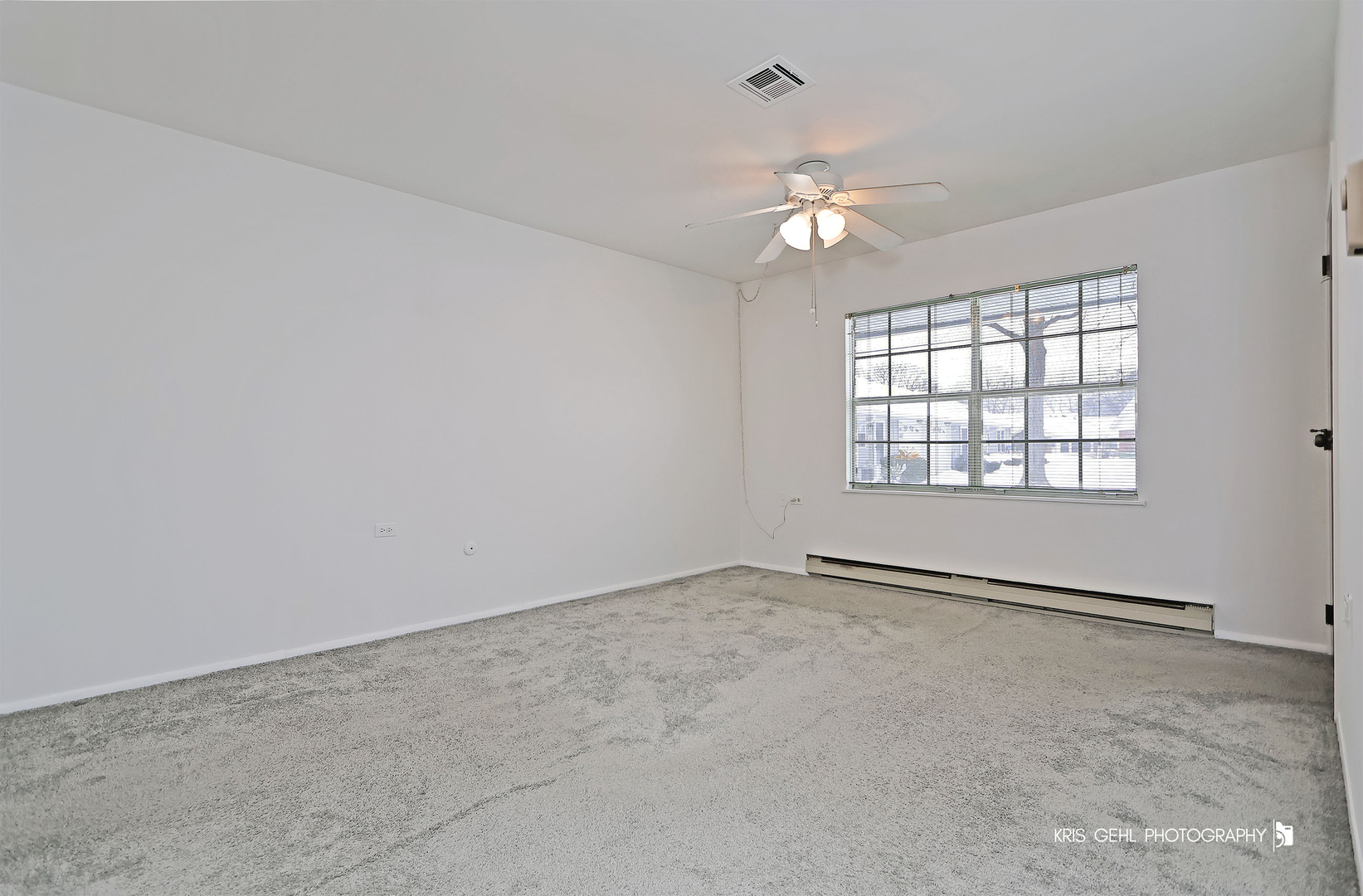 7302 Chevy Chase Court, Fox Lake, IL 60020