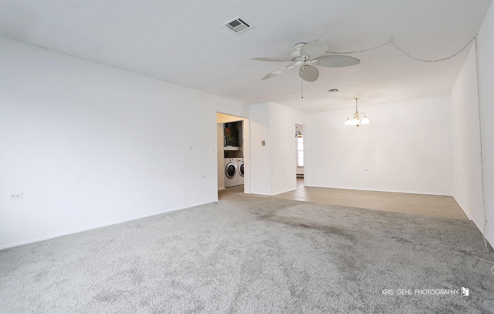 7302 Chevy Chase Court, Fox Lake, IL 60020