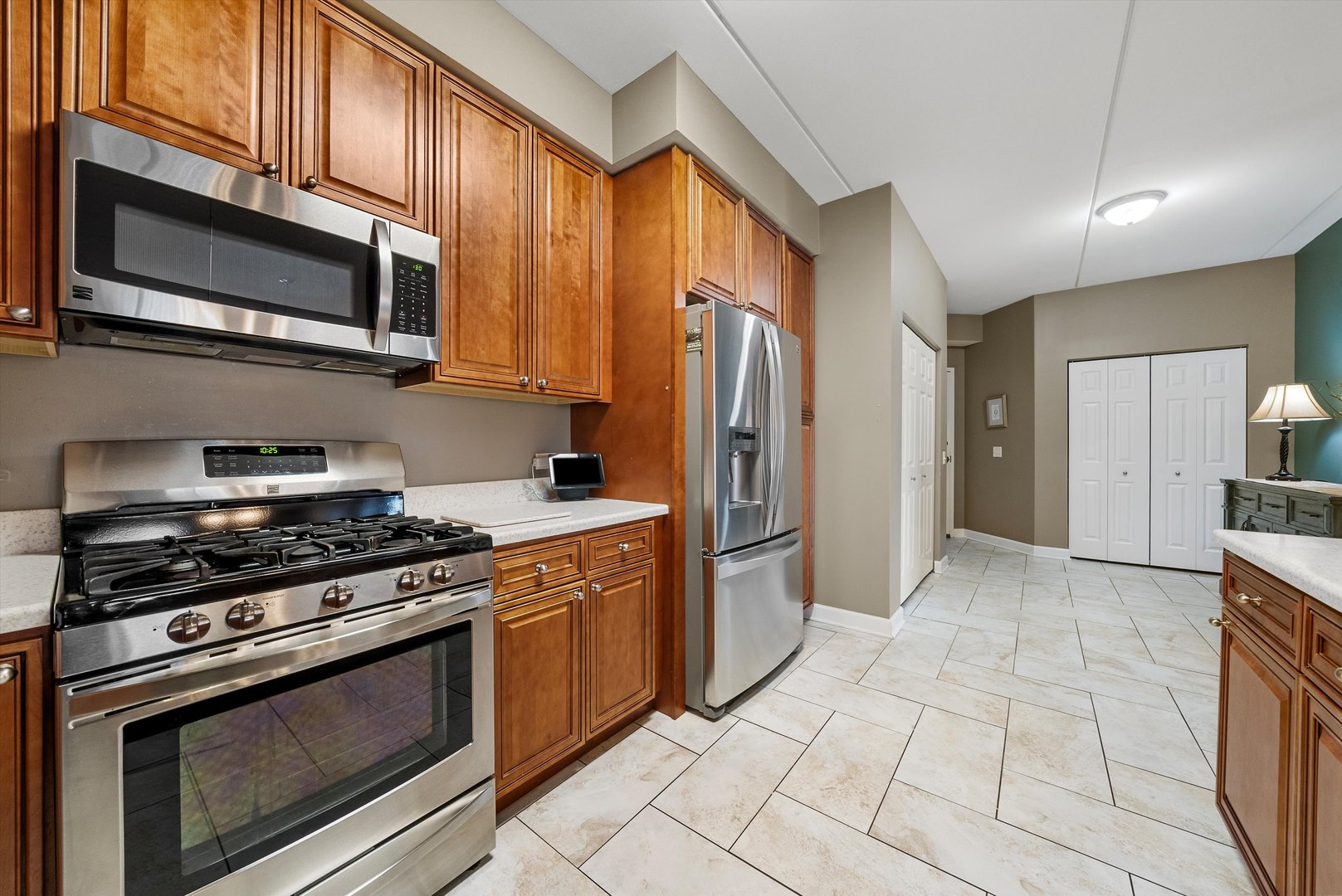 10 N GILBERT Street #314, South Elgin, IL 60177