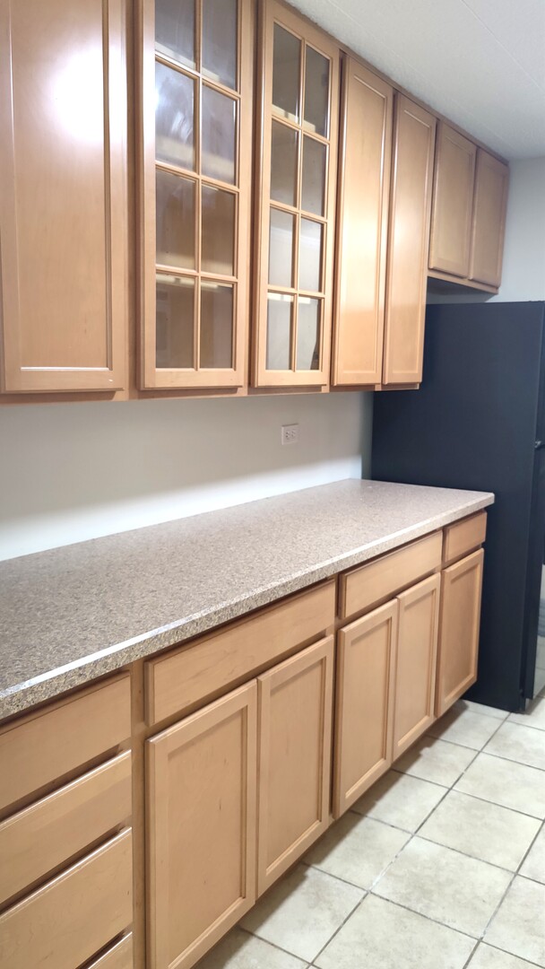 960 Beau Drive #109, Des Plaines, IL 60016