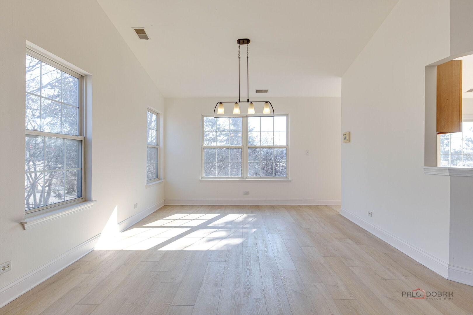 517 E SADDLEBROOK Lane, Vernon Hills, IL 60061